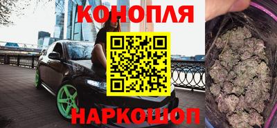 прущие грибы Лесосибирск