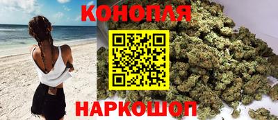 прущие грибы Лесосибирск