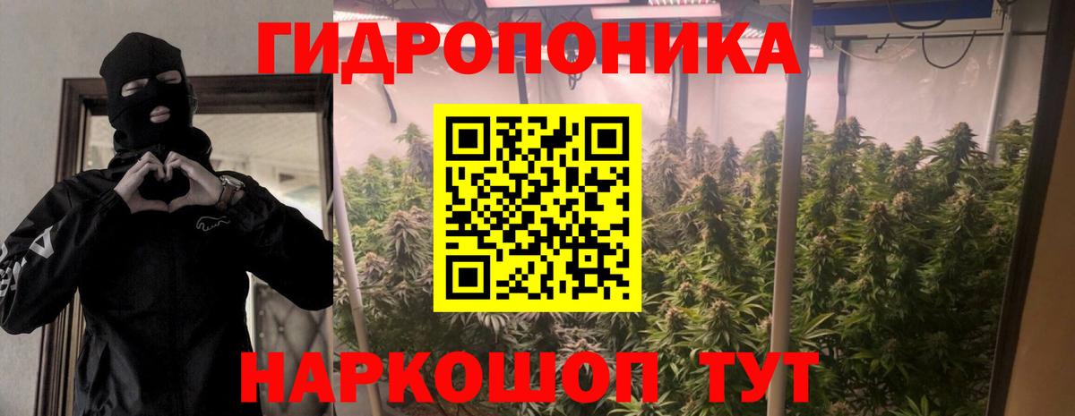 Железногорск  Марихуана планчик  Вход с VPN  Бошки Шишки SATIVA & INDICA  Бошки Шишки VHQ  Бошки марихуана White Widow 